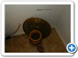 DSCN0709